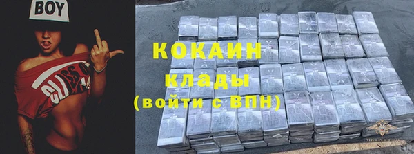 хмурый Абаза